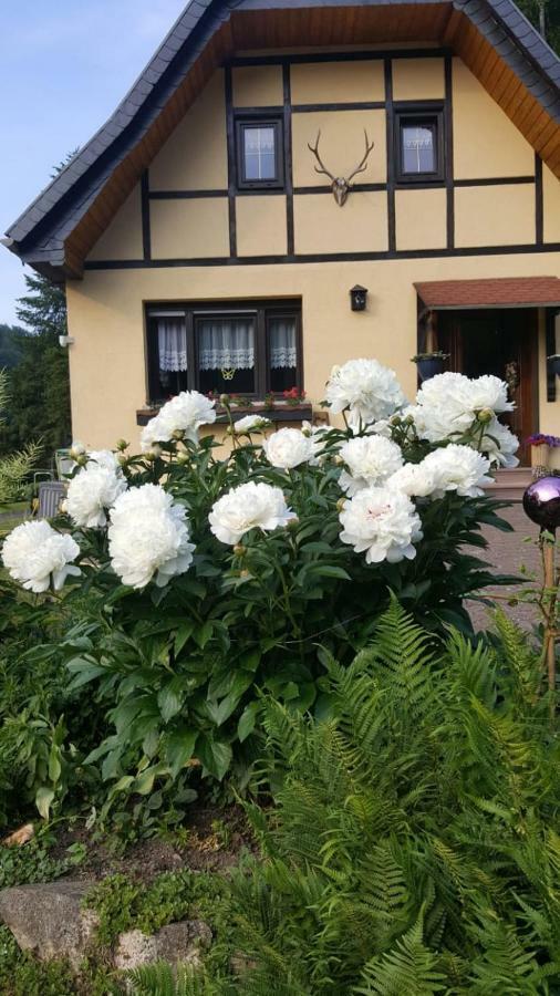 Birkenhain Stolberg i. Harz المظهر الخارجي الصورة