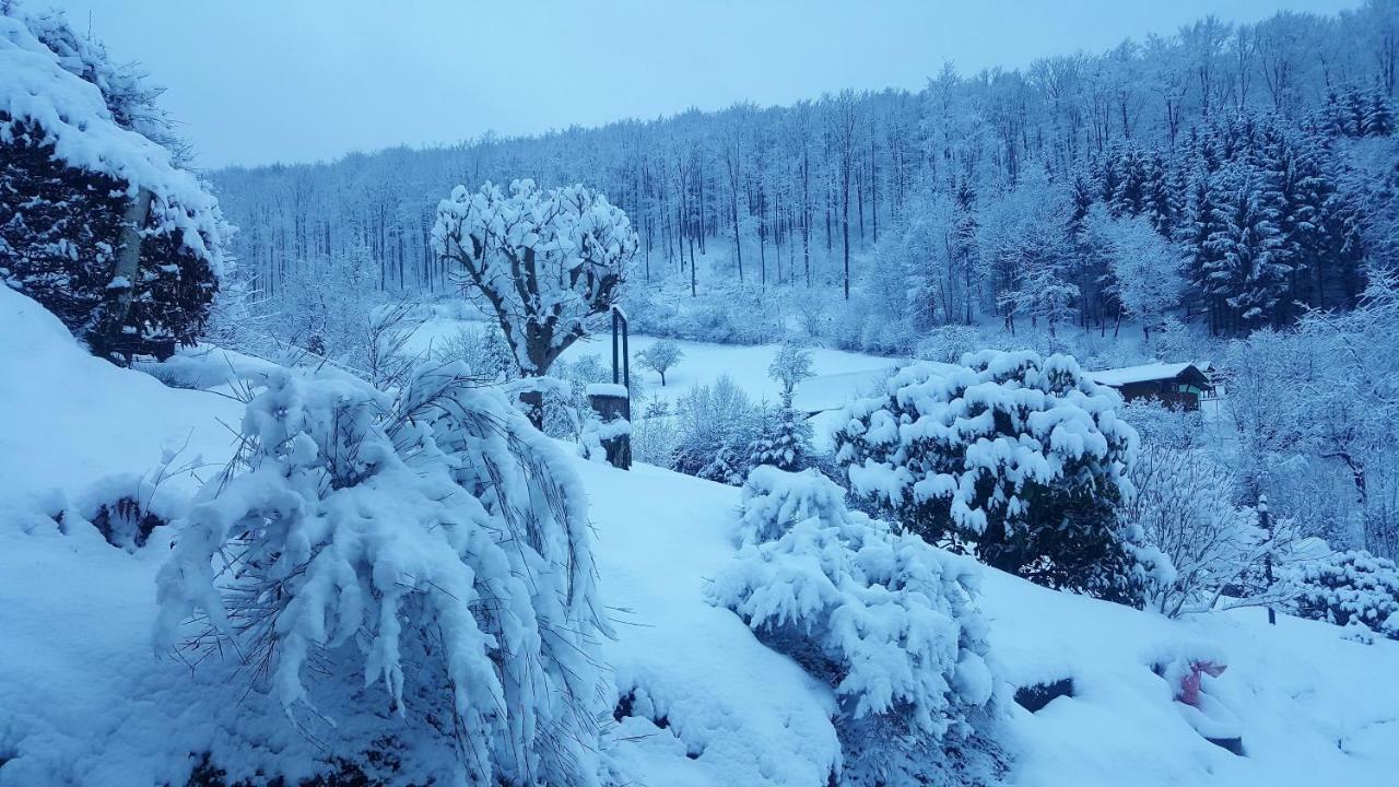Birkenhain Stolberg i. Harz المظهر الخارجي الصورة